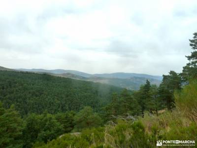 Canencia-Mojonavalle-Sestil de Maillo;sierra de cabrera bosque madrid subida a la bola del mundo par